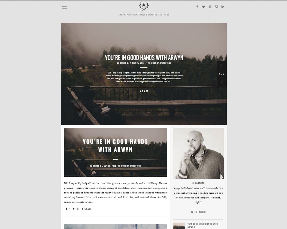 Arwyn-Top-Rated-Wordpress-Themes-for-Bloggers