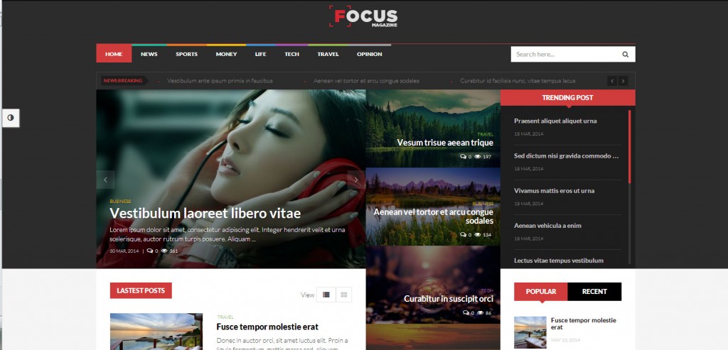 Focus-Top-Rated-Wordpress-Themes-for-Bloggers