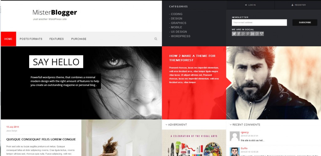 MisterBlogger-Top-Rated-Wordpress-Themes-for-Bloggers