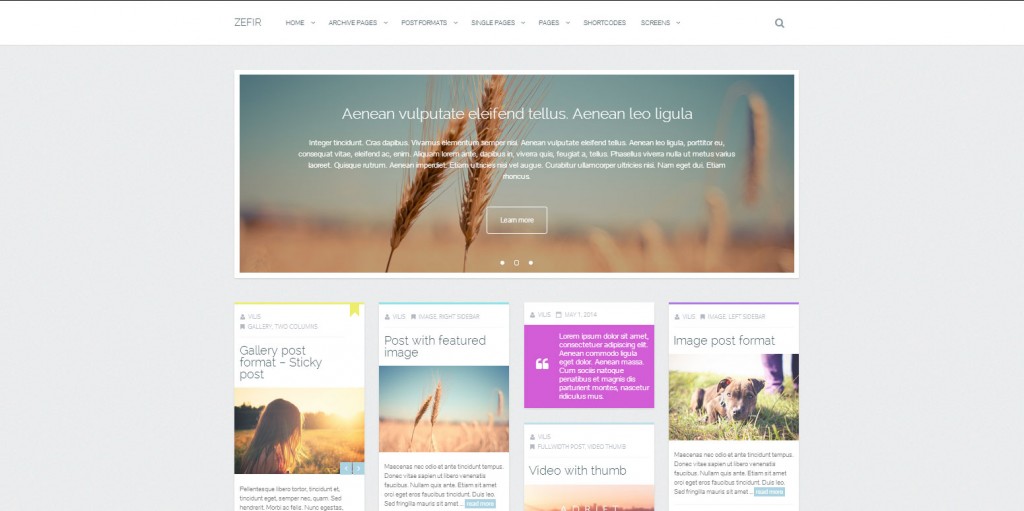Zefir-Top-Rated-Wordpress-Themes-for-Bloggers