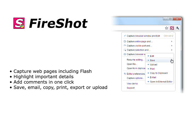 FireShot Chrome Extension