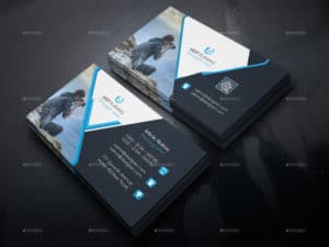 Clean Examples of Professional Business Card Designs