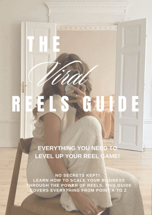 WebJess-Faceless-Reels-Guide-Ready to Sell Digital Products PLR-MRR